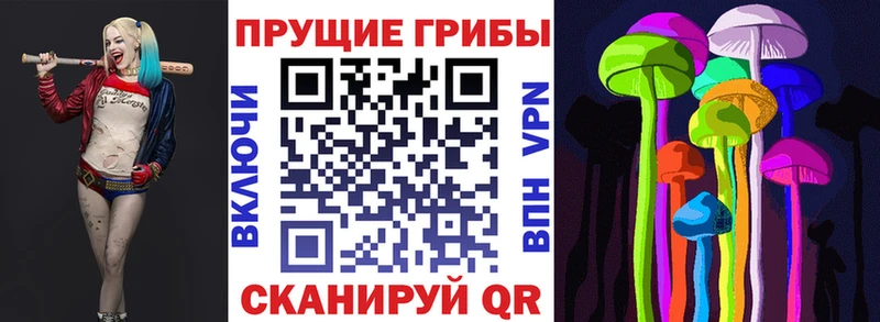 Псилоцибиновые грибы прущие грибы Кореновск